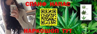 герыч Бердск